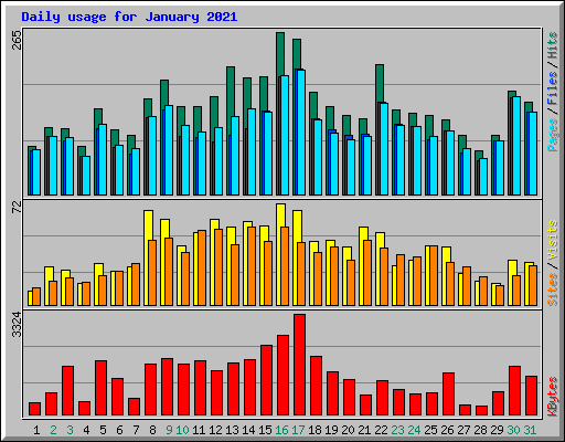 Daily usage for January 2021