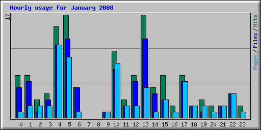 Hourly usage for January 2008