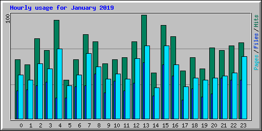 Hourly usage for January 2019