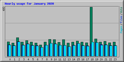 Hourly usage for January 2020