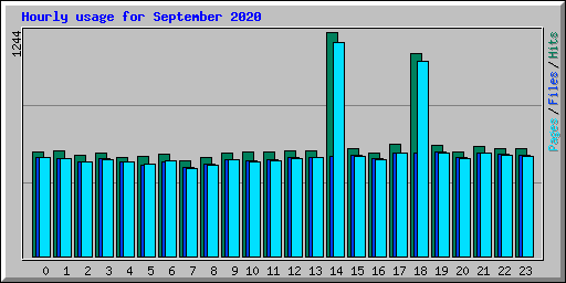 Hourly usage for September 2020