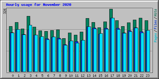Hourly usage for November 2020