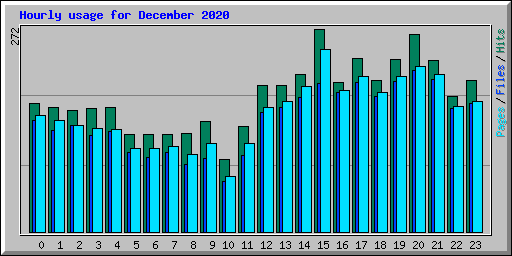 Hourly usage for December 2020