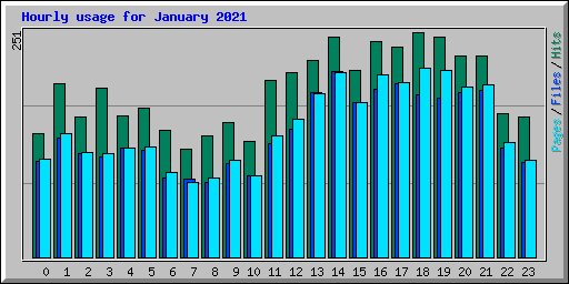 Hourly usage for January 2021
