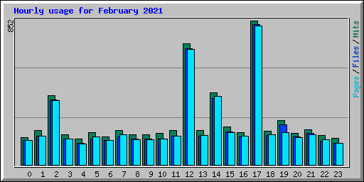 Hourly usage for February 2021